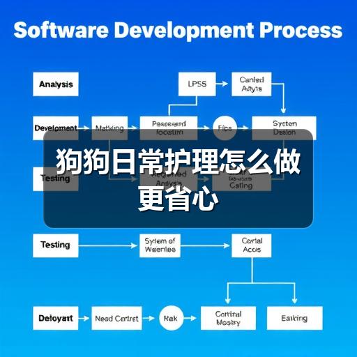 狗狗日常护理怎么做更省心