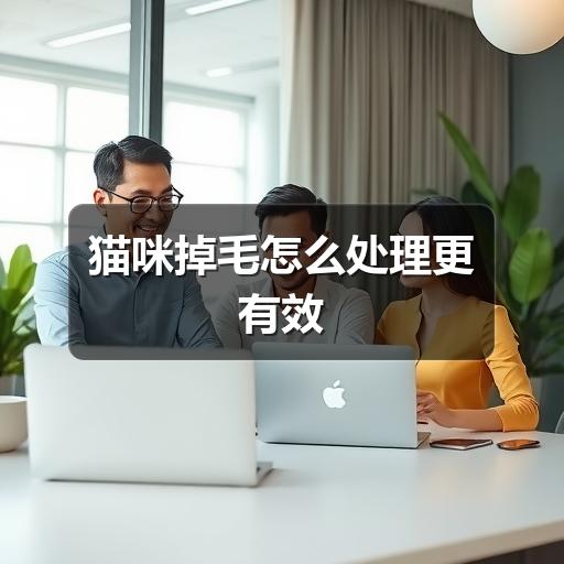 猫咪掉毛怎么处理更有效